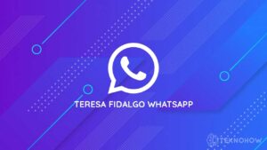 Teresa Fidalgo WhatsApp